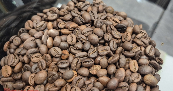 Giá cà phê hôm nay 4-11: Tăng vọt