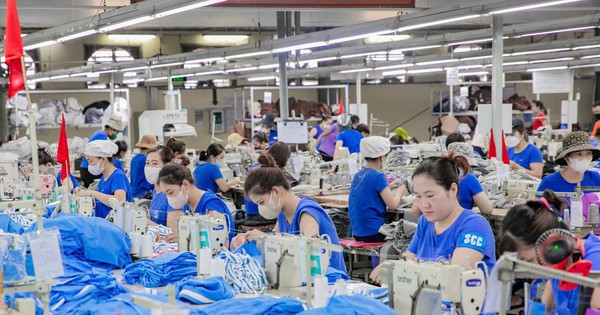 TNG được gia hạn doanh nghiệp ưu tiên, trả cổ tức tiền mặt đợt 2/2025