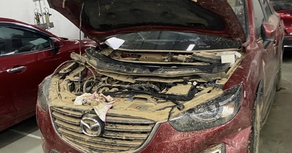 Bảo hiểm chi trả hàng trăm tỉ đồng tiền bồi thường thiệt hại do bão, lũ