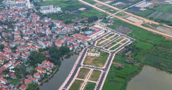 Tham gia đấu giá đất rồi bỏ cọc có thể bị 'cấm cửa' tới 10 năm