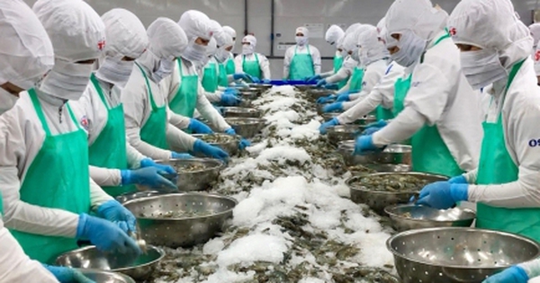 Kim ngạch xuất khẩu sẽ phá kỷ lục?