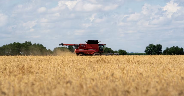 Sau 1 năm quay lưng, quốc gia BRICS nhập lại nông sản chủ chốt của Mỹ, thị trường thở phào nhẹ nhõm