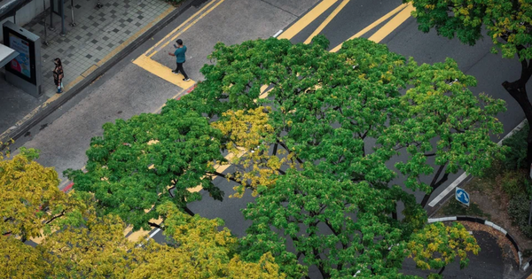 Bài toán 1,3 ngàn tỉ USD của Liên hợp quốc