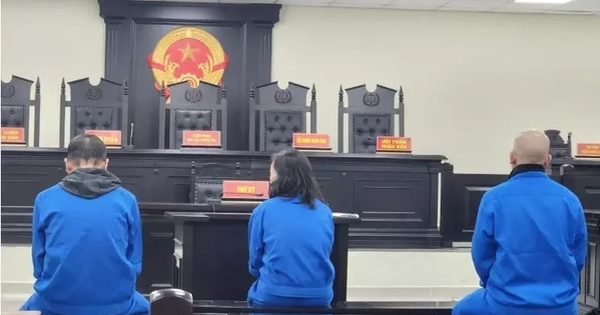 Trả hồ sơ để làm rõ tình tiết mới vụ cán bộ TAND Tối cao lừa đảo 25 tỷ đồng