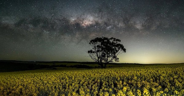 Giữa căng thẳng thương mại với láng giềng Washington, quốc gia BRICS nối lại nhập khẩu mặt hàng tỷ USD từ nước đồng minh của Mỹ sau 5 năm 'chặn cửa'