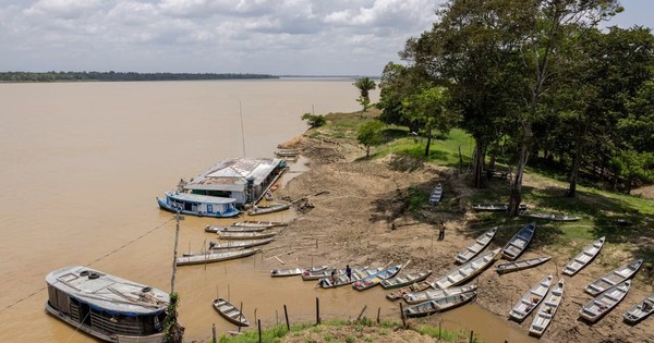 Không phải vàng hay dầu, nền kinh tế trên 200 triệu dân săn lùng ‘kho báu’ trải dài 400 km sâu dưới rừng nhằm dắt lưng 'vũ khí' giữa thương chiến, Trung Quốc ngỏ ý tham gia