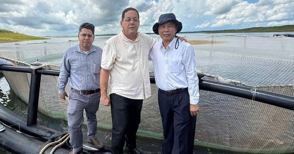 Sau hơn 10 năm, một loài cá tỷ USD của Việt Nam tạo nên kỳ tích tại Cuba: Tiềm năng rất lớn