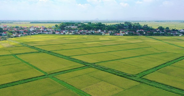 Đối tượng nào được miễn thuế sử dụng đất nông nghiệp đến hết năm 2030?