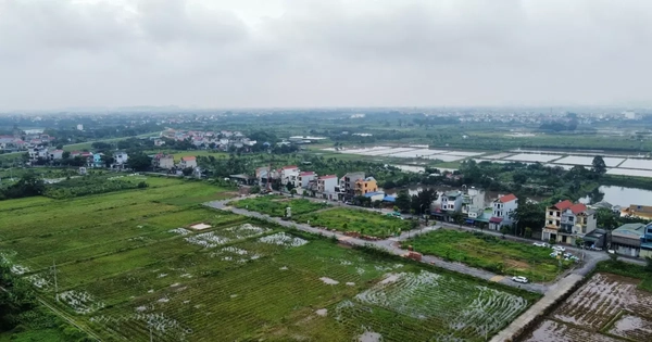 Kéo dài miễn thuế sử dụng đất nông nghiệp thêm 5 năm