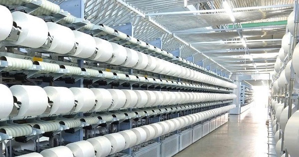 Sợi Thế Kỷ tăng vốn điều lệ vượt 1.400 tỷ đồng sau đợt trả cổ tức