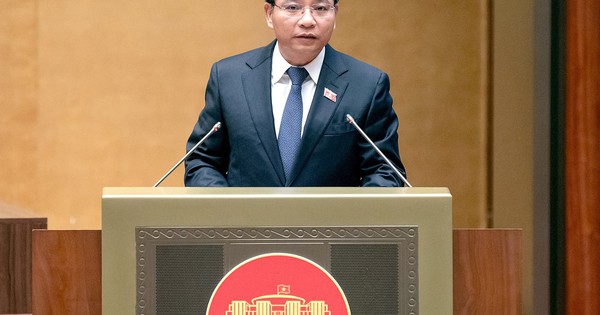 Tin vui: Xuất khẩu gạo, dịch vụ kế toán và 23 ngành khác được Chính phủ đề xuất không cần xin giấy phép kinh doanh