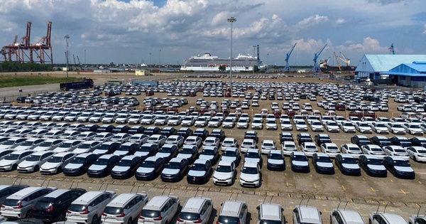 Hình ảnh hàng ngàn chiếc ô tô nhập về cảng TP HCM