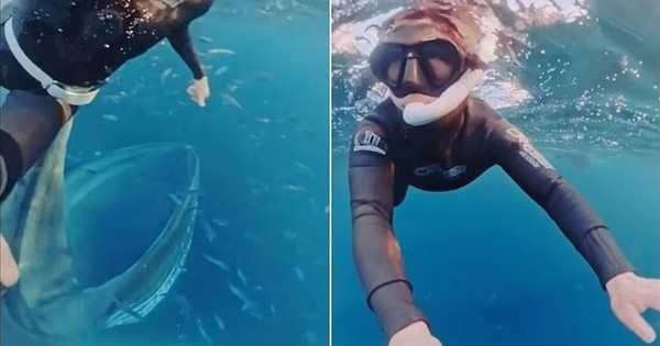 "Thủy quái" khổng lồ bất ngờ lao đến dưới biển sâu: Thợ lặn suýt bị nuốt chửng trong tích tắc