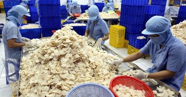 Công ty con của Vĩnh Hoàn muốn huy động gần 465 tỷ đồng để làm gì?