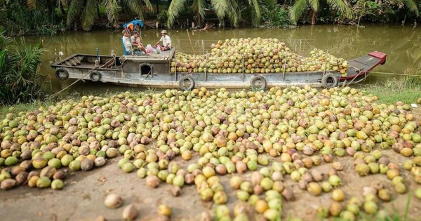Đặc sản triệu đô của Việt Nam bất ngờ lao dốc cực mạnh: Vì sao nên nỗi?