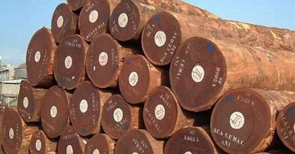 Cứu tinh từ Campuchia đổ bộ giúp Việt Nam cạnh tranh với Thái Lan ngôi vương của thế giới: Thuế nhập khẩu ưu đãi 0%, thế giới đang ngày càng khan hiếm