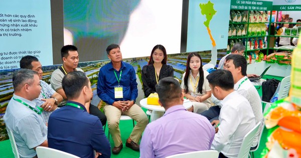 VCCI hỗ trợ doanh nghiệp và HTX trong chuỗi giá trị tôm và lúa gạo tăng cường liên kết, tiếp cận thị trường quốc tế