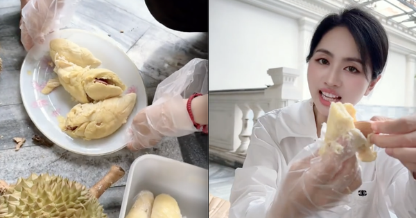 Số phận vườn sầu riêng nhà Mailisa