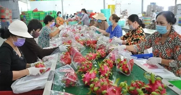 Quy định mới về truy xuất sản phẩm của Trung Quốc tác động gì tới hàng Việt?