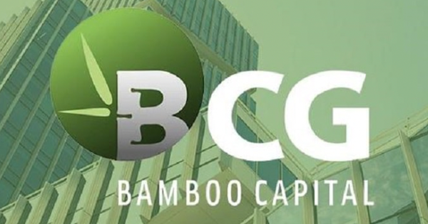 Bamboo Capital sẽ tổ chức đại hội cổ đông bất thường, dự kiến miễn nhiệm hàng loạt lãnh đạo