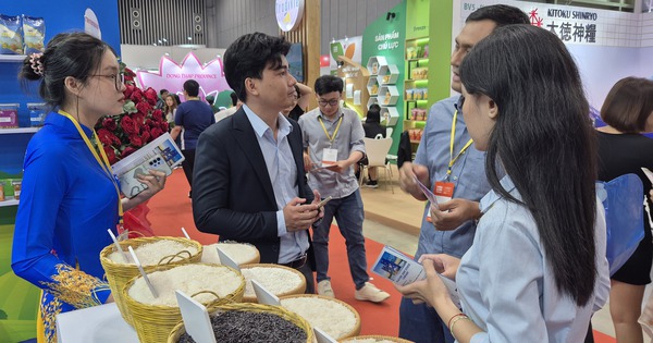 Gạo xuất khẩu Việt Nam trước thách thức mới