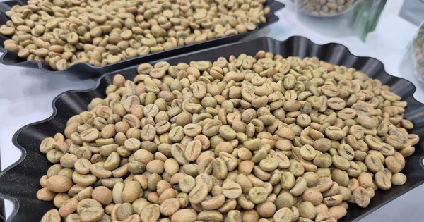 Giá cà phê hôm nay 15 -11: Bốc hơi theo thuế Mỹ