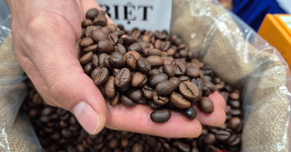 Giá cà phê hôm nay 16-11: Tuần buồn của giá cà phê