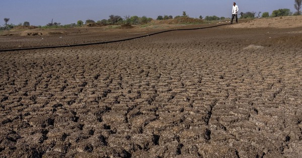 Nông nghiệp toàn cầu thiệt hại nặng vì thiên tai