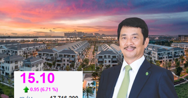 Novaland làm sao thế?