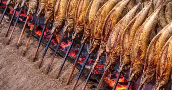 Một 'mỏ vàng' của Việt Nam được Trung Quốc tích cực săn lùng: thu về hàng tỷ USD, cả thế giới nuôi nhưng chỉ nước ta tạo ra ngành công nghiệp