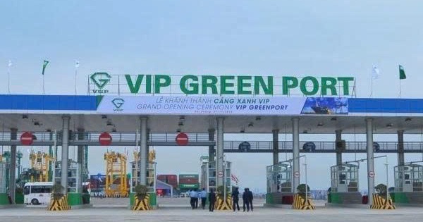 Viconship sắp thu gần 90 tỷ đồng cổ tức từ Cảng Xanh Vip