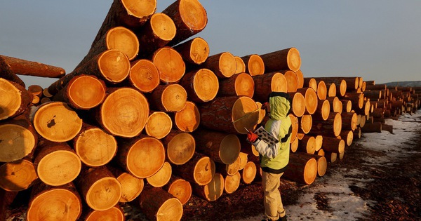 Việt Nam sở hữu 'cây kim tiền' được Mỹ đổ gần 8 tỷ USD chốt đơn: thuế nhập khẩu 10%, Việt Nam là ông trùm đứng thứ 5 thế giới