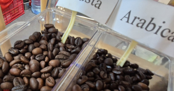 Giá cà phê hôm nay 19-11: Tiếp tục tăng cao