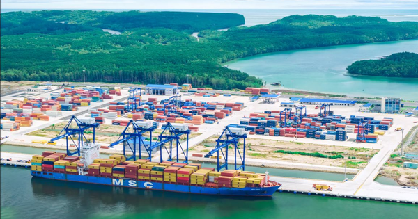 Sở hữu cảng 11.000 tỷ vẫn không được phép nhập khẩu mặt hàng quan trọng, Đồng Nai quyết "xin" quyền