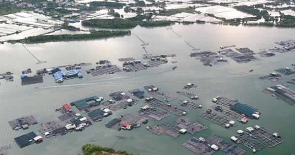 Toàn cảnh hòn đảo rộng gần 1.400 ha được đề xuất làm khu đô thị ở TP.HCM