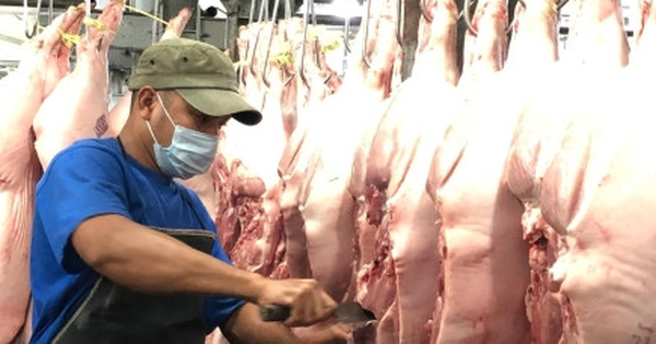 TP.HCM thí điểm sàn giao dịch thịt heo trong tháng 12