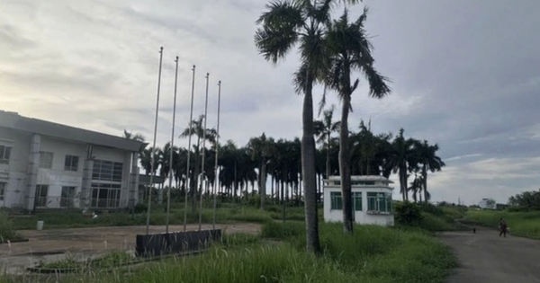 Số phận siêu dự án của đại gia Hứa Thị Phấn