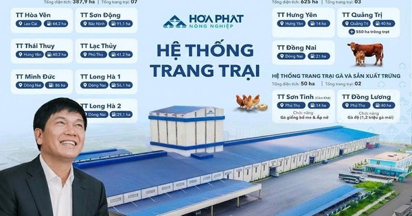Bí mật 10.700 tỷ: Giải mã cách Tỷ phú Trần Đình Long nuôi heo, bò, gà đạt tỷ suất sinh lời gấp đôi đối thủ