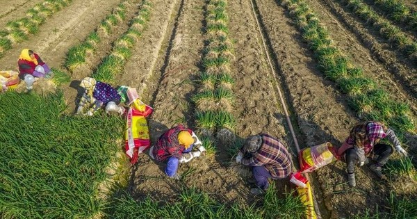 Bị phương Tây mạnh tay áp thuế xe điện, Trung Quốc lập tức tung món ‘võ cổ truyền’ từng trăm trận trăm thắng - bây giờ ai mới đang gặp áp lực?