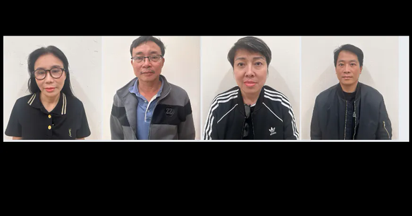 Khởi tố 8 bị can trong vụ án buôn lậu liên quan đến hệ sinh thái Mailisa