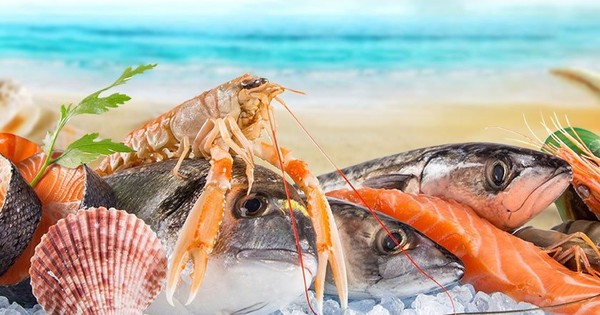 Chuyên gia Agriseco điểm tên 2 cổ phiếu thủy sản có lợi thế vượt trội, dự báo duy trì tăng trưởng cao thời gian tới