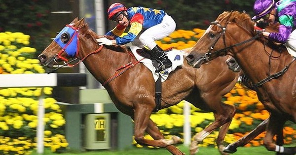 UBCKNN “bật đèn xanh”, SSI sắp tăng vốn điều lệ vượt TCBS, lấy lại “ngôi vương” ngành chứng khoán