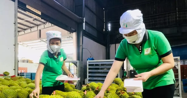 Rau quả Việt xuất khẩu gây bất ngờ