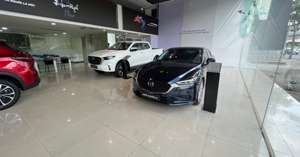 Thị trường xe gầm thấp thoái trào