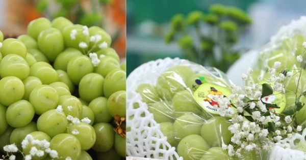 Cận cảnh loạt trái cây 'hot' bị nhái nguồn gốc, lừa người tiêu dùng