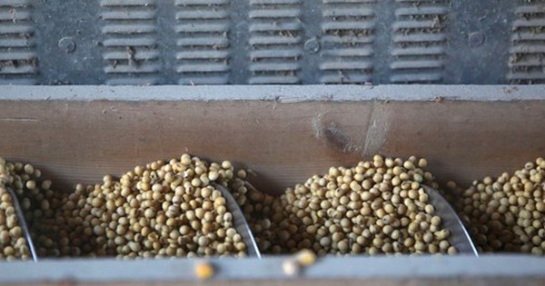 Trung Quốc quay lưng dừng nhập khẩu, Mỹ tăng mạnh đưa một mặt hàng vào Việt Nam với giá siêu rẻ, nước ta tiêu thụ thứ 3 thế giới