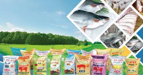 Động thái mới của ông lớn xuất khẩu gạo An Giang