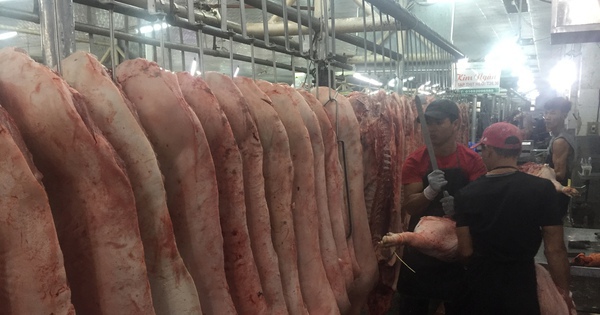 Giá heo hơi hôm nay, 24-11: Heo về chợ tiếp tục giảm, điều gì đang xảy ra?