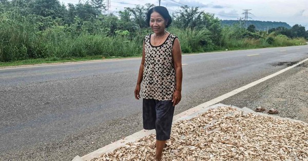 Buồn của nông dân Campuchia: Thái Lan ngừng mua hàng triệu tấn mặt hàng chủ chốt, giá rớt thảm xuống chỉ còn hơn 1.000 đồng/kg, cạnh tranh đã khó càng thêm khó