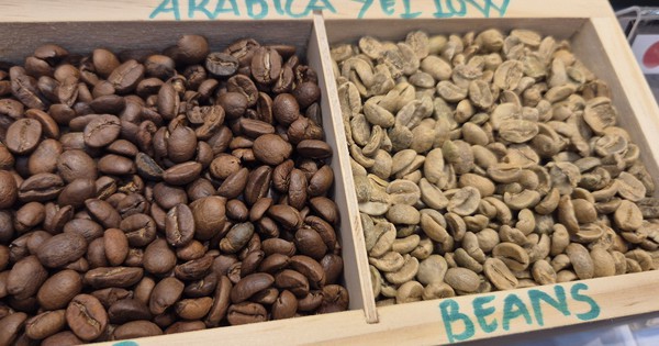 Giá cà phê hôm nay 25-11: Robusta đột ngột đi xuống, Arabica tăng mạnh